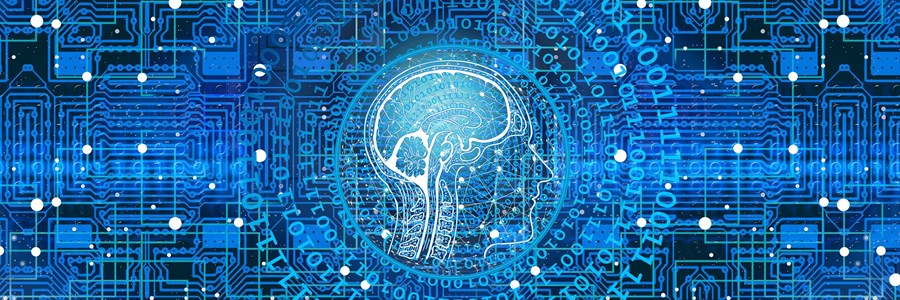 L'immagine raffigura una testa con un cervello stilizzato su sfondo blu
