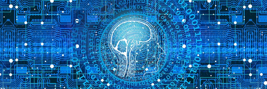 L'immagine raffigura una testa con un cervello stilizzato su sfondo blu